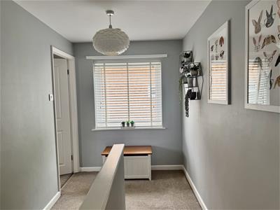 Picture 14